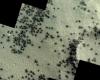 Orbitador de la ESA detecta “signos de arañas” en Marte – DW – 25/04/2024 – .