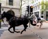 “Vida” y “Trojan”, los caballos de la Guardia Real que corrían asustados por las calles de Londres, se encuentran “en estado grave” – .