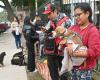 Municipio de San Salvador de Jujuy realiza vacunación antirrábica y castraciones masivas en Alto Comedero