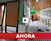 Encapuchados destruyen instalaciones de liceo en Lota: suspenden clases por crimen de Jeremy