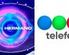 Telefe lideró los ratings pese a haber planteado Gran Hermano 2023: qué pasó
