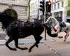 Caos en el centro de Londres por caballos del ejército que se escaparon y dejaron varios heridos