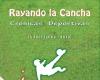 Se republica libro que relata las hazañas de la Selección Chilena de 2010