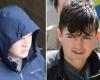 Dos adolescentes comparecen ante el tribunal acusados ​​del asesinato de Josip Strok en el ataque de Clondalkin en Dublín