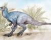 En Río Negro encontraron un dinosaurio que vivió hace 90 millones de años