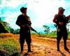 Disidentes tendrían planes de secuestrar a diputados del Cauca y Valle: Inteligencia Militar – .