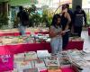 Dislectura organiza Feria del Libro en Santa Marta – .