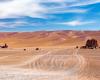 Descubren “biosfera” escondida bajo el desierto de Atacama, el lugar más seco del planeta
