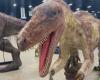 Manada de dinosaurios se apodera del Edmonton Expo Center – .