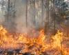 Uttarakhand informa 146 casos de incendios forestales “provocados por el hombre” en cuatro meses; Autoridades tomarán medidas estrictas contra los malhechores – .