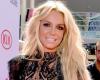 Britney Spears confesó que es fanática de un vino mendocino: Le sienta sumamente bien