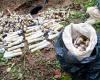 Neutralizan 197 explosivos disidentes en Cauca – .