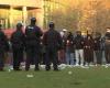 Decenas de arrestados durante protestas pro palestinas en la Universidad Northeastern – NBC New England –.