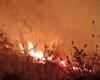Un gran incendio forestal arrasa Nainital; El ejército llamó – .