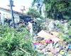 Con 60 camiones terminó la historia de acumulación extrema de basura en el barrio Limache – Le puede interesar – .