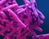 El uso excesivo de antibióticos “por si acaso” durante el COVID-19 agrava la resistencia bacteriana