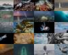 ¡Todos a votar! Las 20 mejores fotografías del concurso “Mar de Chile 2023 – 2024”