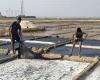 Ctg y Cox’s Bazar presencian un auge en la producción de sal – .