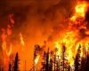 “Ocho nuevos incendios forestales en 24 horas, la IAF ayuda en la extinción de incendios por segundo día – Kashmir Reader -” .