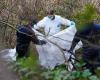 Dos hombres acusados ​​de asesinato tras hallar torso envuelto en plástico en reserva natural
