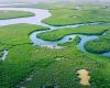 ¿Cuánta agua circula cada año por todos los ríos del mundo? El volumen es colosal, según expertos de la NASA – .