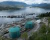 Análisis: Las restricciones portuarias para el oleoducto Trans Mountain de Canadá pueden afectar las exportaciones de petróleo -.