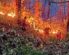 Los incendios forestales de Uttarakhand se extienden hacia zonas pobladas