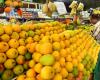 Las ventas de mango caen en Bengaluru a medida que los precios se disparan