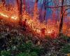 3 muertos mientras continúan los incendios forestales en Uttarakhand
