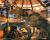 Es uno de los mayores errores de ‘Parque Jurásico’ y me sorprende haberlo descubierto 30 años después – Noticias de Cine – .