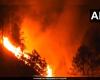 Tres trabajadores muertos en un incendio forestal en Almora, Uttarakhand.
