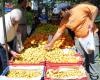 Margen de precios de frutas y verduras en Chipre – .