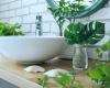 5 pequeñas plantas de interior perfectas para tener en tu baño