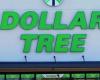 Estas son las mejores novedades que presenta Dollar Tree en mayo de 2024 nndaml