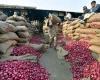 El gobierno levanta la prohibición de exportar cebollas; “Impone un precio mínimo de exportación de 550 dólares por tonelada – Observador de Cachemira -” .