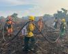 MinAmbiente asegura que incendio en Parque Isla Salamanca en Magdalena es “ecocidio” y anuncia acciones criminales