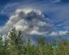 Prepárese ahora para la próxima temporada de incendios – Información sobre incendios forestales de Alaska –.