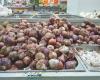 ¿Disminuirán los precios de la cebolla cuando India levante la prohibición de exportar? -Noticias – .