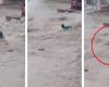 Impresionante video de un hombre arrastrado por un arroyo en Soledad, Atlántico