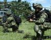 Mueren cuatro militares durante enfrentamientos con disidentes en Cauca – .