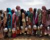 La inseguridad alimentaria amenaza a Sudán tras ofensiva en Darfur – .