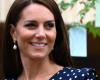 Se conoció un dato insólito sobre la salud de Kate Middleton: qué pasó