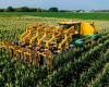 La máquina polinizadora que busca “salvar” el maíz y el trigo