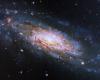 El telescopio Hubble observa una galaxia con un voraz agujero negro a 50 millones de años luz | Doctor Tecnológico