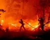 Incidentes de 24 incendios forestales reportados en las últimas 24 horas; Blaze cobra 5 vidas –.