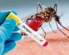 Declaran brote tipo dos por aumento de casos de dengue en Yopal. – .