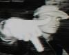 Letra de ‘Million Dollar Baby’: la nueva canción de Tommy Richman se convirtió en un gran éxito instantáneo | Letras, Música, Tommy Richman