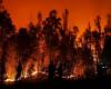 930 incidentes de incendios forestales reportados en las regiones de Garhwal y Kumaon – Global Green News –.