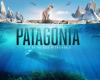 El documental sobre la Patagonia narrado por Pedro Pascal se estrena en el Santiago Wild Festival – .