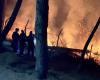 Solo el 0,1% de la cobertura de vida silvestre estaba en llamas, dice el gobierno de Uttarakhand a SC